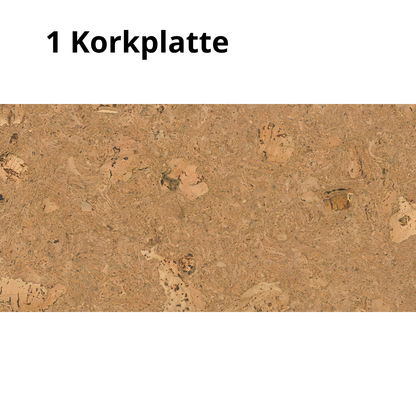 Dekorative Kork-Wandfliesen - Natural 1 - 1 Fliese - 0.18m2